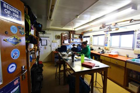 The Birders Lab