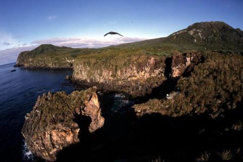 Coastal Plateau