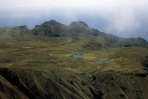 Lake Tarn Moss