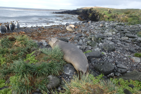 Trypot Beach