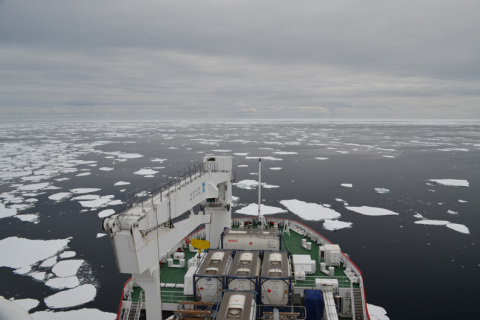 S.A. Agulhas II