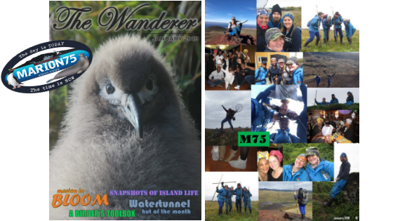 Marion Island, Newsletter, The Wanderer, Overwintering Team
