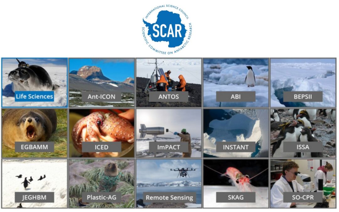 XXXVI SCAR Delegates’ Meeting 2021 – Three New Scientific Programmes