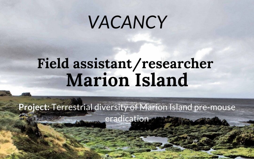 Ecology vacancy on Marion Island