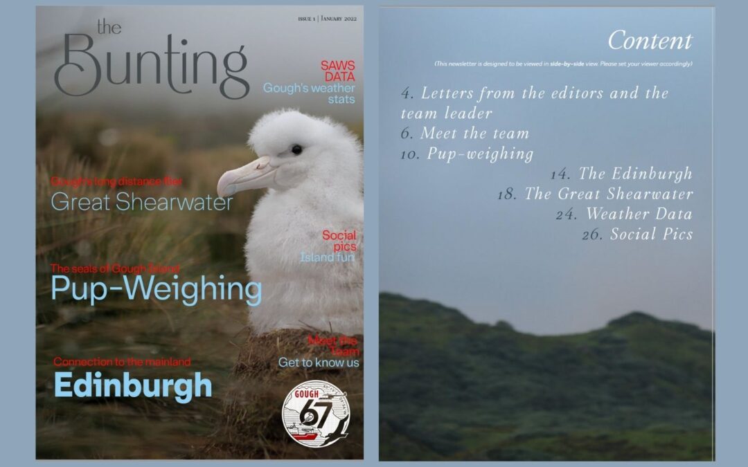 The Gough Bunting – First issue of G67