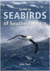guide to seabirds of southern africa