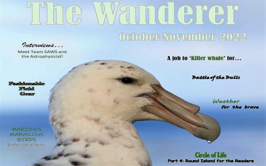 The Wanderer – October – November 2022 – Newsletter