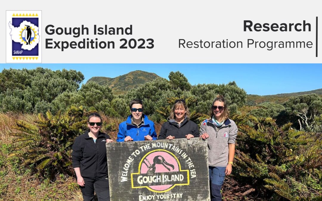 Gough Island Expedition 2023: Island Restoration