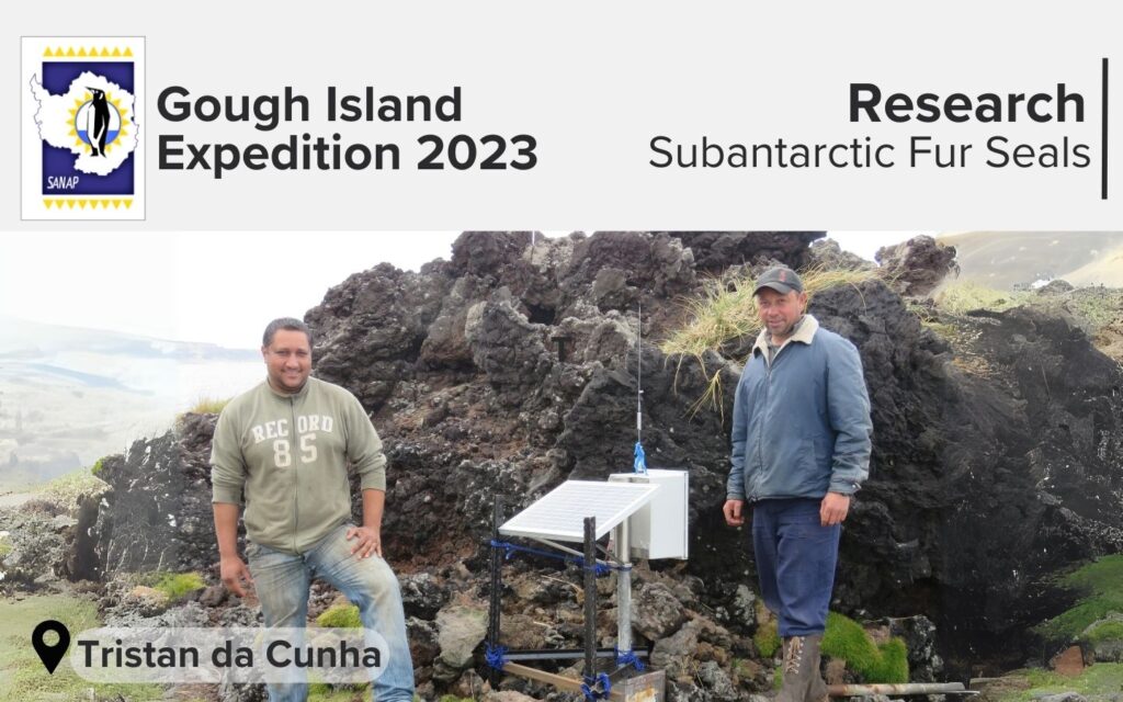 Gough Island Expedition_2023_subantarctic fur seals_Tristan da Cunha