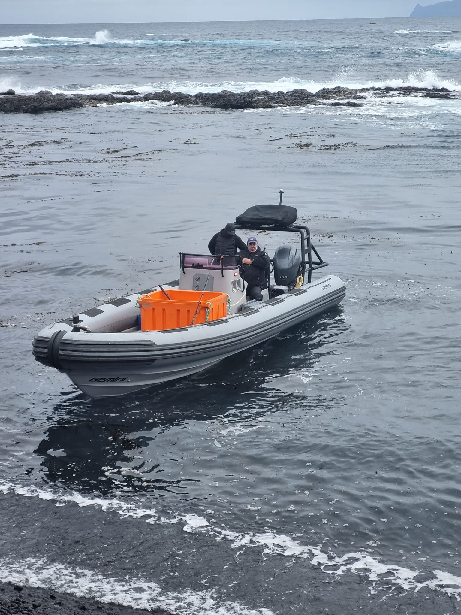 Mammal research on TdC Island