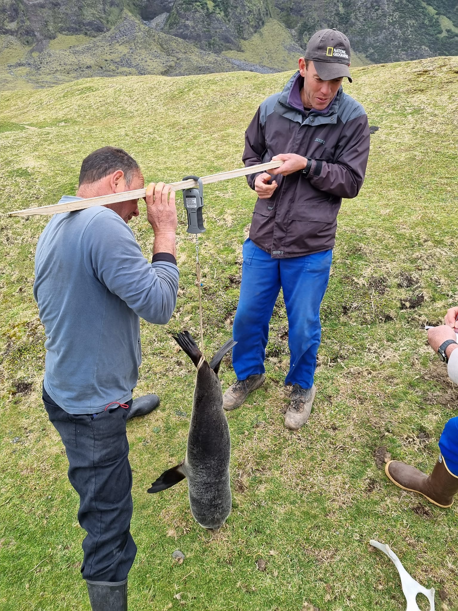 Mammal research on TdC Island