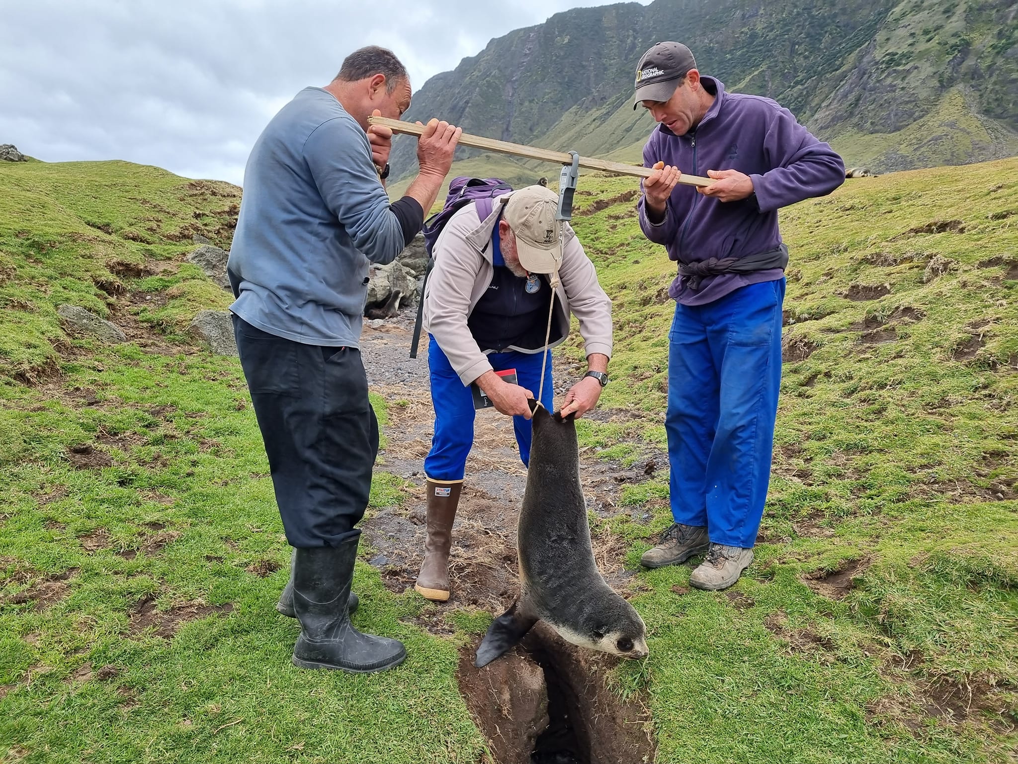 Mammal research on TdC Island