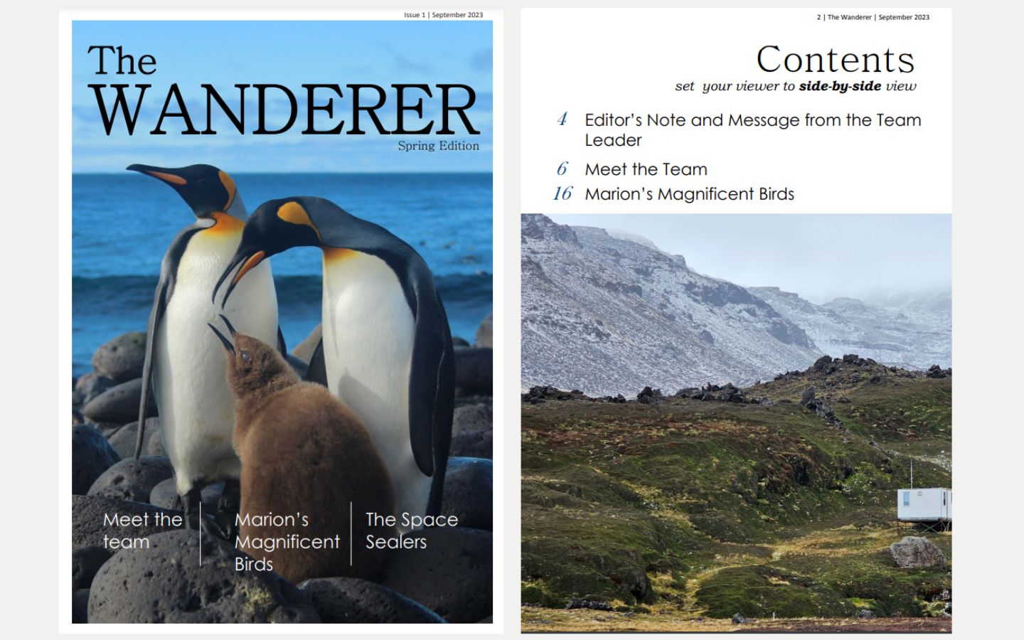 Marion Island Newsletter – The Wanderer 2023 Spring Edition