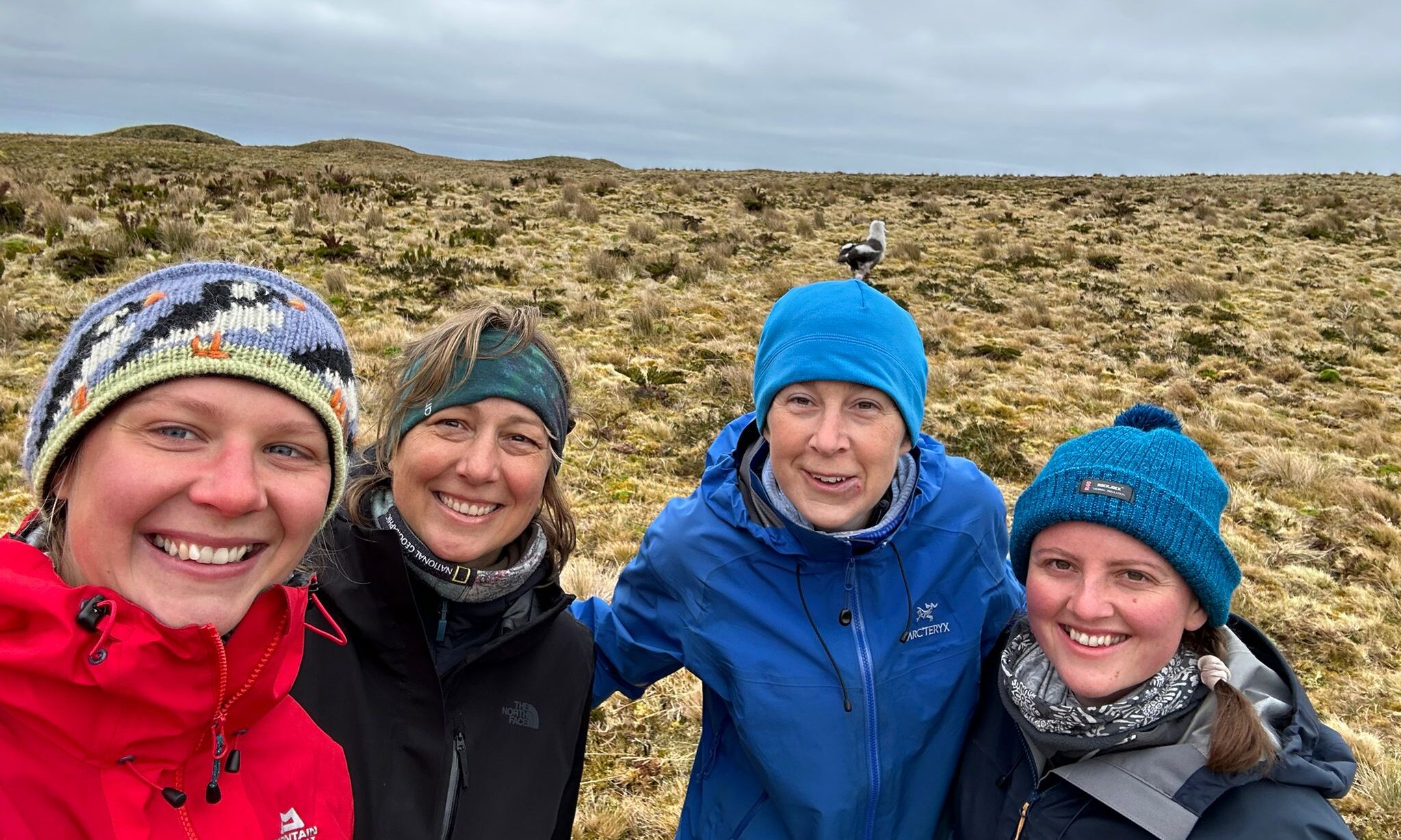 RSPB_Gough Island Restoration team_takeover 2023