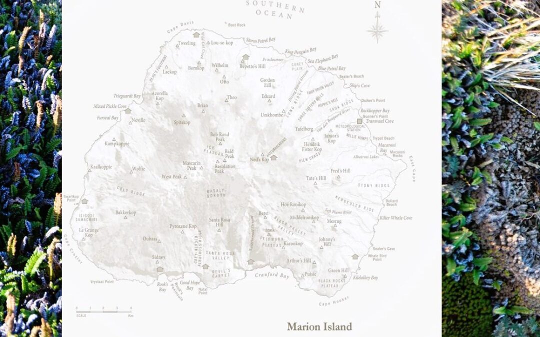 Marion Take-Over Research:  MISE (University of Pretoria)